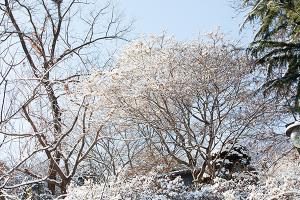  주일 교회 둘러보기