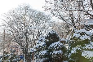  주일 교회 둘러보기