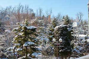  주일 교회 둘러보기
