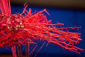  고난주간 특별성회