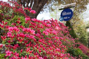  주일 교회 둘러보기