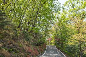  주일 교회 둘러보기