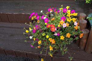  주일 교회 둘러보기