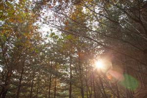  구역장 구속사 특별세미나 첫째날