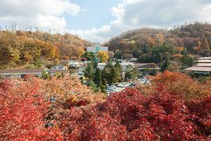  주일 교회둘러보기(추수감사절)
