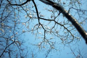  주일 교회 둘러보기