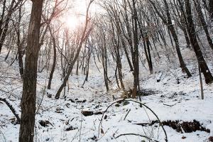  주일 교회 둘러보기