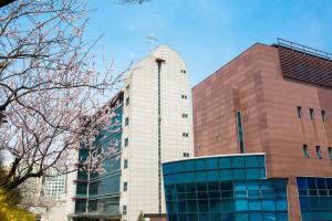  교회 둘러보기 (평강의 봄)