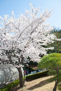  주일 교회 둘러보기