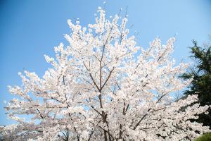  주일 교회 둘러보기