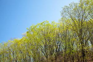  주일 교회 둘러보기