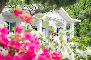  청년2부(그루터기선교회) 창립46주년 감사예배