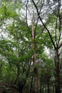  하계대성회 둘째날 오후