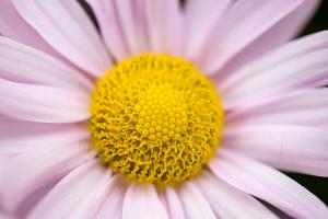  주일 교회 둘러보기