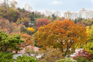  주일 교회 둘러보기