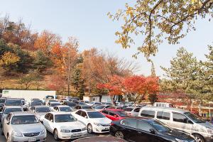  주일 교회 둘러보기(추수감사절)