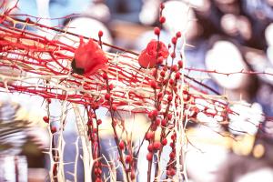  고난주간 특별대성회