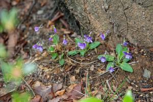  주일 교회 둘러보기(부활절)