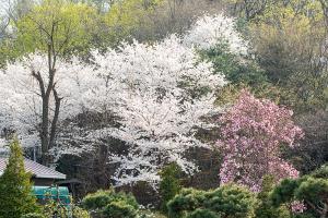 주일 교회 둘러보기