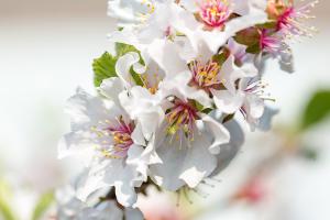  주일 교회 둘러보기