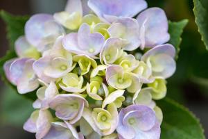  주일 교회 둘러보기