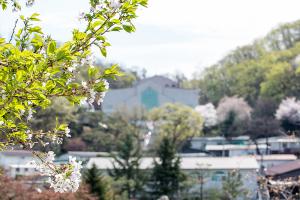  교회 둘러보기(평강의 봄)