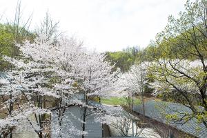  교회 둘러보기(평강의 봄)