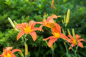  주일 교회 둘러보기