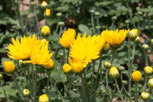  하계대성회 셋째날 오후(구속사강의8-9, 둘러보기)