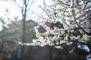  교회 둘러보기(평강의 봄)