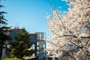  교회 둘러보기(평강의 봄)