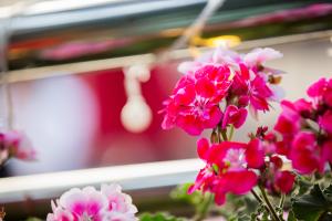  주일 4부예배 행사 '평강청년의 밤'