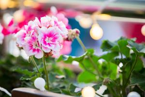  주일 4부예배 행사 '평강청년의 밤'