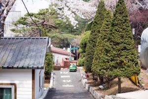   교회 둘러보기(평강의 봄)