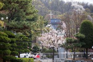  교회 둘러보기(평강의 봄)