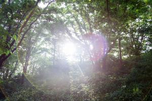  청년2부(그루터기선교회)'장안산 구국기도회'