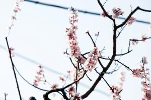  토요일 교회 둘러보기