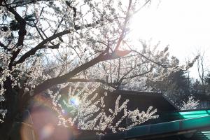  토요일 교회 둘러보기