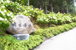  하계대성회 셋째날 둘러보기