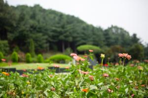  하계대성회 셋째날 둘러보기