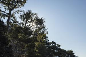  청년2부 그루터기 동계수련회