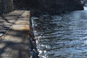  청년2부 그루터기 동계수련회