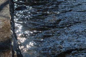  청년2부 그루터기 동계수련회