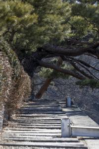  청년2부 그루터기 동계수련회