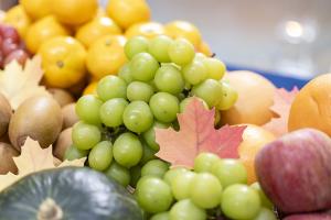  청년 2부 그루터기 선교회 추수감사주일