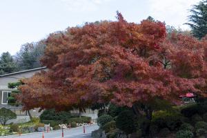  교회 가을 둘러보기