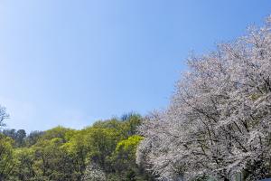  주일 2부예배